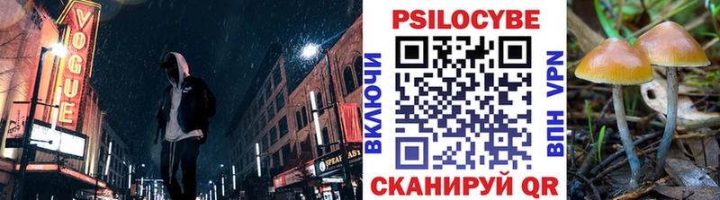 сколько стоит  Соликамск  Галлюциногенные грибы Magic Shrooms 
